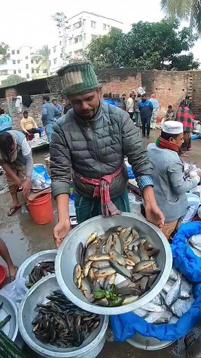 South Asian roadside fish market #reels #reelsfb #fishmarket #roadsidemarket #fish #market | Different city