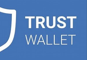 TrustWallet钱包区块链虚拟数字货币私钥助记词碰撞器支持12/24位，全自动循环验证记录到本地文本，不限使用时间，可出源码