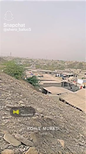 Zayrat ❤️‍🩹