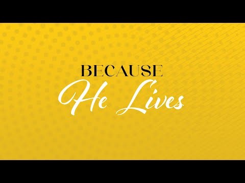 I Can Face Tomorrow | Youth Federation 2025