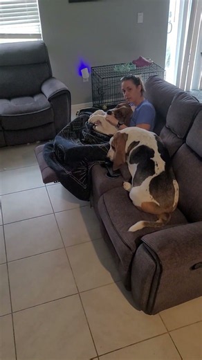 My Wife Chose HIM Over Me... 💔🐶