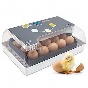 Jumbl Clear Egg Incubator, Fully Automatic Digital Poultry Hatching Machine, Temperature Control & Automatic Egg Turner, LED Candler, Mini 12-35 Egg Incubator Breeder for Chicken, Ducks & More