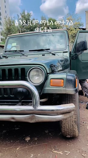 ማኔላ መታገል ዝርዝር እና መስታወት አስተያየት