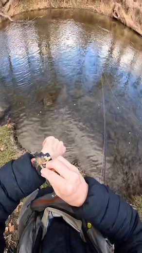 2.7K views · 11 reactions | Lots of snails in the water, didn’t have...