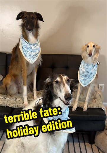 cleolonglegs (@cleolonglegs)’s video of cleo and joan makeup scene