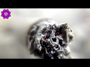 Stop Smoking Now | Nicotine Poison Withdrawal Frequency | Binaural Beats to Quit Smoking