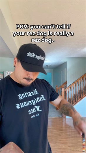 252K views · 19K reactions | Dog is dancing a little sus.. #native #nativeamerican #nativehumor #indigenous #rez #rezhumor #firstnations #nativetiktok #nativetiktoks #funny #funnyvideo #funnyvideos #funnyy #comedy #comedyvideo #joke #jokes #humor #comedyvideos #funnyreel #funnyreels #comedyreel #comedyreels | Che Jim | Facebook