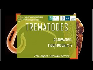 TREMADODOS