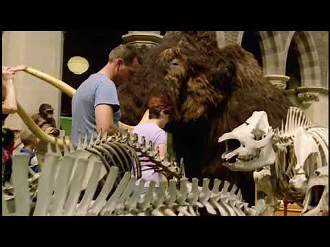 Walking With Prehistoric Beasts - "No Species Lasts Forever" - ENHANCED HD