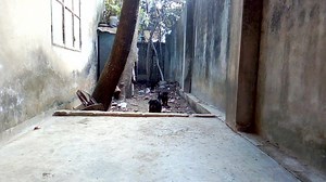 Promising Female puppies for sale Father (European Bloodline) Mother (Indian Line) 2 Female puppies are Available Vaccinated and De-Wormed Only Real Buyer contact please! Mob: 01671092407 | D. Kennel