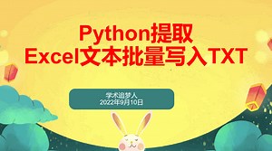 Python提取Excel中的文本批量写入TXT文件