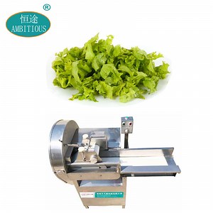 [Hot Item] Fresh Leave Cutting Machine Leafy Lettuce Slicer Cutting Machine