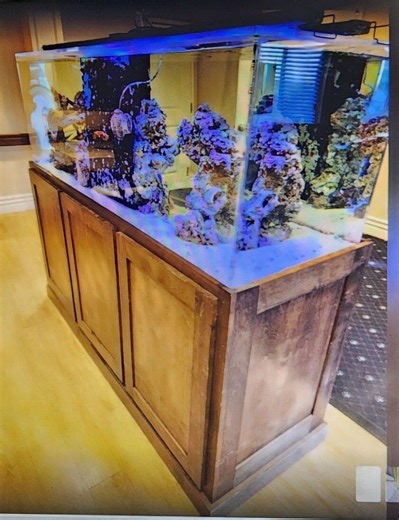 180 gallon reef tank full set up | Fish | KSL Classifieds