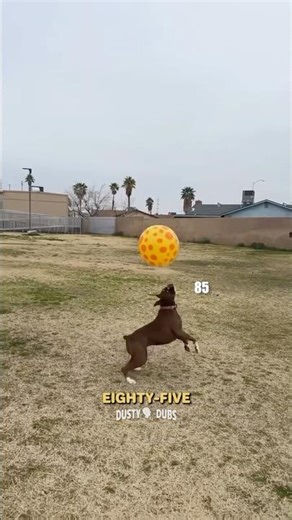 He ALMOST had it 😵‍💫