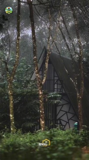 Luxury Private Pool Villa in Wayanad at Just ₹4500! | Wayanad Resort for Couples #honeymoonsuite