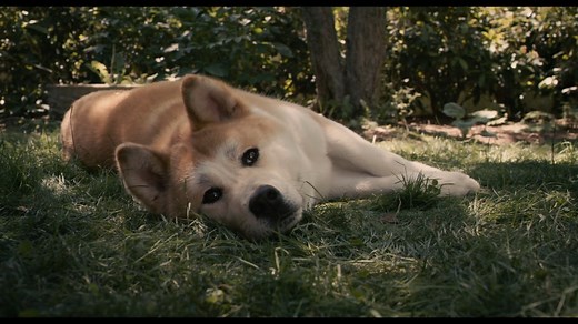 Hacsi - A leghűségesebb barát (2009)