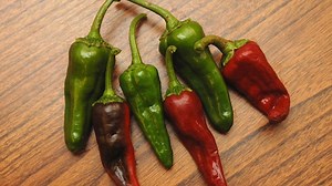 Where and how chile peppers were cultivated throughout history