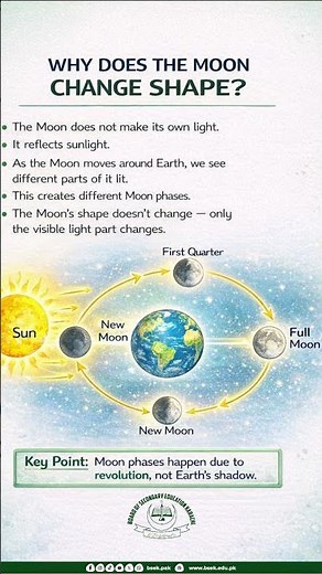 Why Does the Moon Change Shape? 🌙 | Moon Phases Explained in 1 Minute