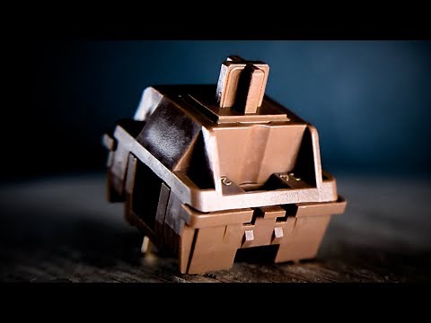 Ultimate Akko CS POM Brown tactile switch Sound Test and Review!