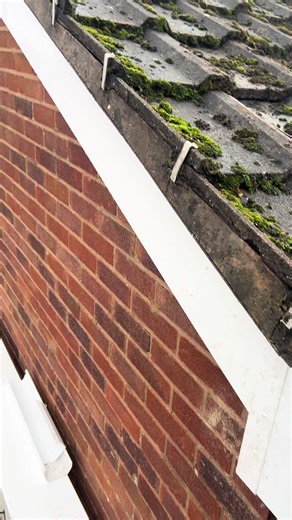 Trusted Roofing Services from Rasta Roofing