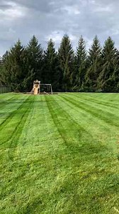 The Ultimate Guide to Easy Lawn Care for Beginners