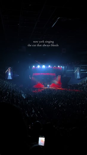 Conan Gray's Memorable Concert Experience in New York