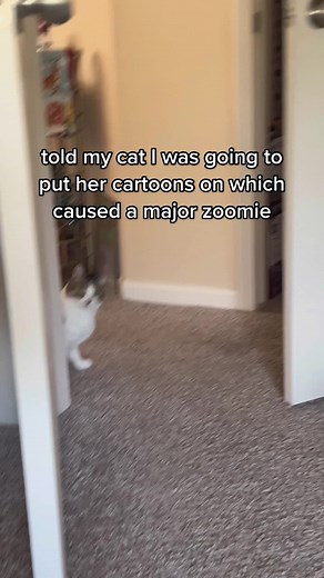 Cat Cartoons: What Cats Love to Watch on TV