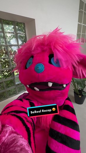 Das Monsterchen auf Spurensuche: BeReal Recap 😍