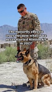 🐾 What if we never started Mission K9 Rescue in 2013? Since then, we’ve rescued over 1,300 working dogs around the world — including retired Military and Contract Working Dogs. We’ve reunited over 670 dogs with their former handlers and covered more than $2 million in vet care to give these heroes the retirement they deserve. Thanks to kind adopters and generous donors, Mission K9 has changed lives — both human and K9 — for the better. 💛 Help us continue this mission. Donate today and give a h
