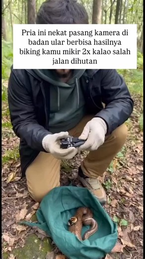 kumpulan produk 🇲🇨 on Instagram: "WAJIB PUNYA !!!KEREN NI KAMERANYA AUTO PINGIN PUNYA DAH BENERAN😁 ʟɪɴᴋ ᴘʀᴏᴅᴜᴋ ᴀᴅᴀ ᴅɪ ʙɪᴏ ɴᴏ.2082🌠 1. Ke bio / profil kami 2. Klik link yang ada di BIO 3. Pilih produk no. 2082 ❤2082.KAMERA 360 VIRAL ʙɪɴɢᴜɴɢ ᴄᴀʀɪ ʟɪɴᴋ ᴛᴏᴋᴏ ɴʏᴀ? 👉ᴍᴀʟᴇs ᴄᴀʀɪ ʟɪɴᴋ ɴʏᴀ? Silahkan Komen “mau link” Nanti Link produknya di kirim ke DM kamu ya😘"