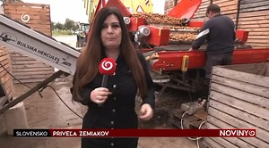 372K views · 3.7K reactions | Dlhoročný pestovateľ zemiakov z obce Hul má plné sklady zemiakov. Za všetkým je pardoxne bohatá úroda, ale aj ceny z okolitých krajín. Viac v reportáži 凜 #tvjoj #spravodajstvo #noviny | Diana Pavlisová TV JOJ | Facebook