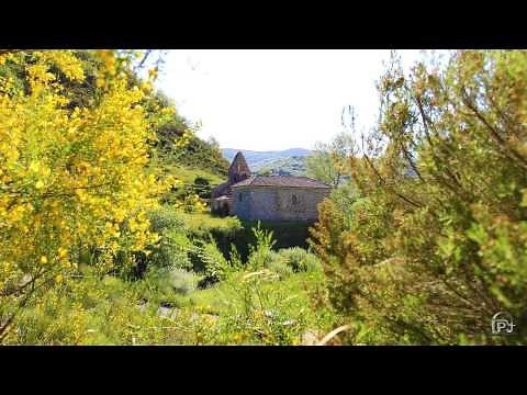 Cántico de las criaturas.