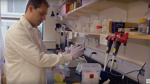 Lab technician: What I do and how much I make