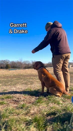 Garrett is our foundation trainer here at CCR. He covers obedience, gun dogs and competitive dogs junior to master level. This is what he says is his fav and his why for dog training. "My favorite thing about dog training is that no day nor training session is ever the same. Every day presents its set of challenges for each dog as well as myself to overcome and learn from. As for what made me want to do this... it's a passion that became an obsession. It started with my first Labrador retriever 