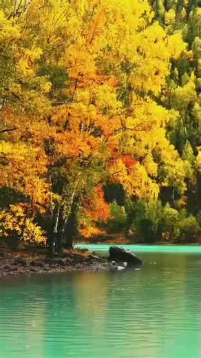 Sulekha (@sulekha084)’s videos with original sound - Sulekha