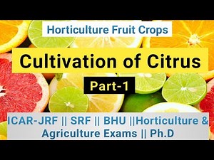 Cultivation of Citrus || Part-1 || Horticulture Fruit Crop || Fruit Science