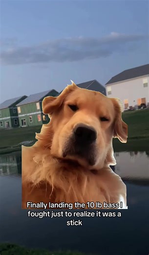 Disappointment in Bass Fishing: 10 lb Catch or Just a Stick?