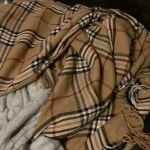 3K views · 209 reactions | It’s COLD 略 out there, OKC! Please be sure to keep your pups (and small alien like creatures) extra warm and snuggled during the winter storm! | Mutt Misfits Animal Rescue Society | Facebook