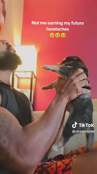 How to Calm Down a Noisy Puppy - Tips and Tricks for a Relaxing Environment