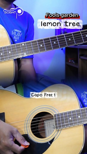 Lemon Tree _ Fools Garden #guitarchords #guitartutorial #guitarlesson | Sobat Pipen