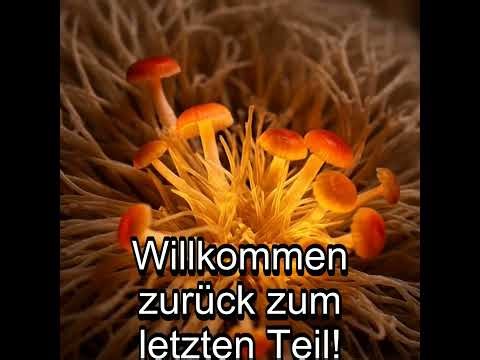 Teil 6/6 - Psilocybin, DMN & Neuro-metabolische Kopplung – MS Info Channel Podcast