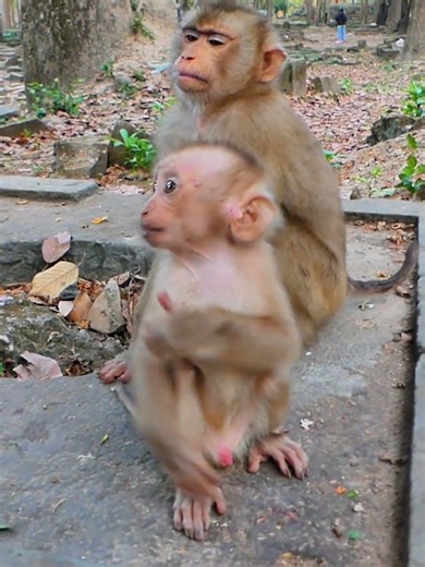 New abandoned just found in park 01-06-25