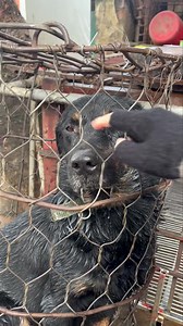 1.5M views · 18K reactions | CÓ BẠN NÀO BỊ BẮT MẤT CON KHÔNG ?...