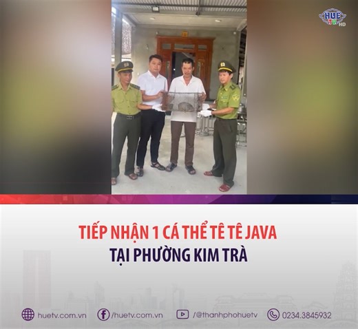 Một cá thể Tê tê Java là loài động vật quý hiếm có nguy cơ tuyệt chủng vừa được người dân phường Kim Trà, thành phố Huế phát hiện và bàn giao cho cơ quan chức năng vào sáng 6/9. #HueTV #ThoiSuHue #TS060925 #TpHue #KimTra #tetejava | Báo và Phát thanh, Truyền hình Huế
