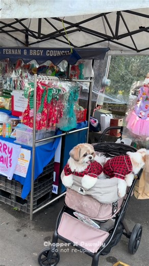 Chopper X Pawmily on Instagram: "Life Update na may galit 🐶📈"