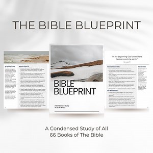 The Bible Blueprint - Full Bible Study and Overview of All 66 Books - Etsy