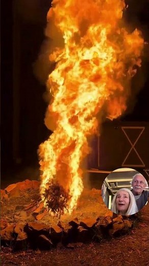 Dried Up Tree Bonfire #fun #viral