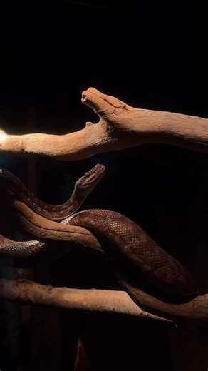 46 reactions | Never a rough day when you spend it with a...