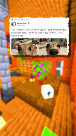 Funny Posts v165 #minecraft #funny #funnyimages