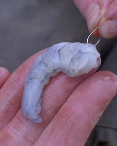 52K views · 986 reactions | Big Commercial Perch Rig! With so many commercials holding big perch these days, a whopper is in reach of most anglers! Stu Lennox recently caught a number of big fish at Lindholme Lakes using the setup below. Simple, fun and efficient! #drennaninternational #drennan #Perchfising #Specialist #drennanspecialist #fishing #angling #coarsefishing | Drennan International | Facebook